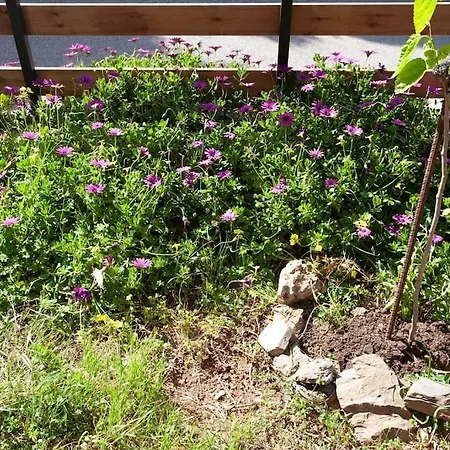 Rodhopos Chania Paradise Retreat מראה חיצוני תמונה